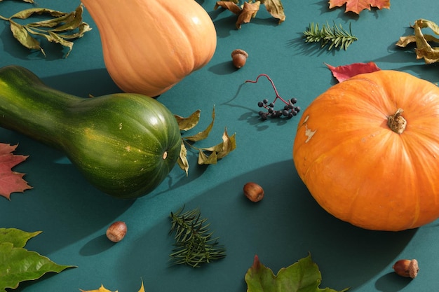 Autumn still life with pumpkins different shapes and colors leaves berries acorns on emerald background Composition beauty and diversity nature