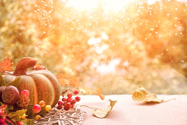 Autumn still life with pumpkins and dry leaves on a window board