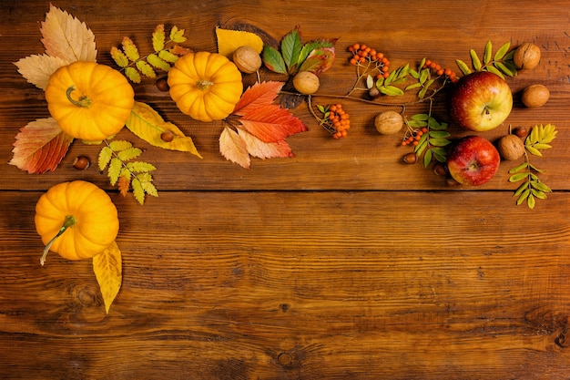 Autumn still life with pumpkins and yellow leaves, concept decoration for Thanksgiving day.