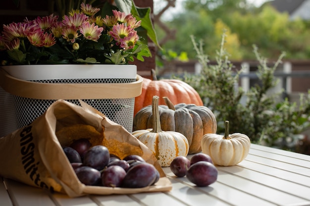 Autumn still life with seasonal fruits, vegetables, flowers and colorful pumpkins and ripe plums. Selective focus.