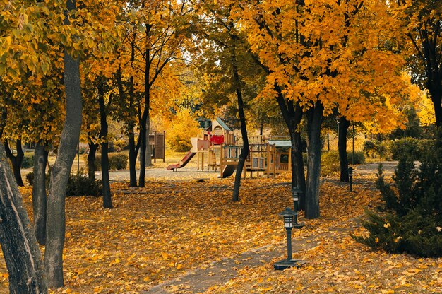 Photo autumn sunny landscape. road in the park to the playground