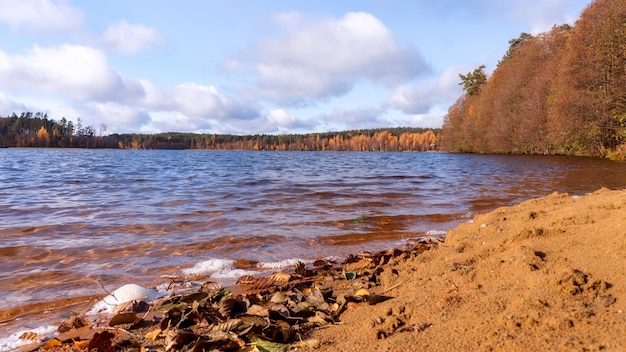 Autumn sunny landscape with sandy beach by the lake and colorful trees. 