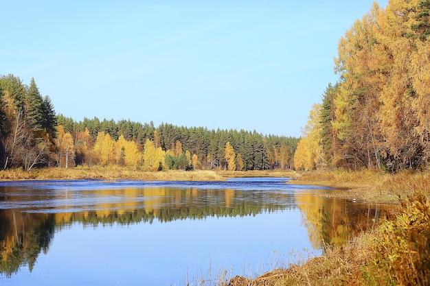 autumn taiga forest landscape, nature view fall in the mountains