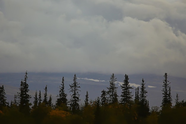 autumn taiga forest landscape, nature view fall in the mountains