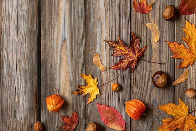 Autumn or Thanksgiving composition made of fall leaves flowers nuts pine cones on wooden background Flat lay