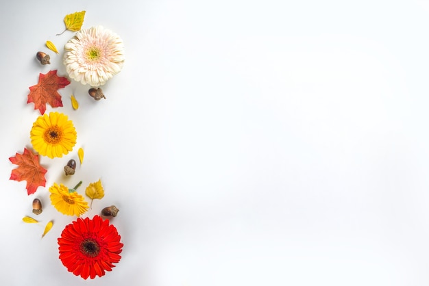 Autumn theme concept. Flat lay composition with colorful flowers, red yellow leaves, white  pumpkins on white background. Bright Fall, thanksgiving day concept. Flat lay, top view, copy space