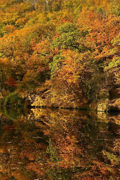 Autumn time Beautiful landscape with colorful trees Outdoor natural background for fall time