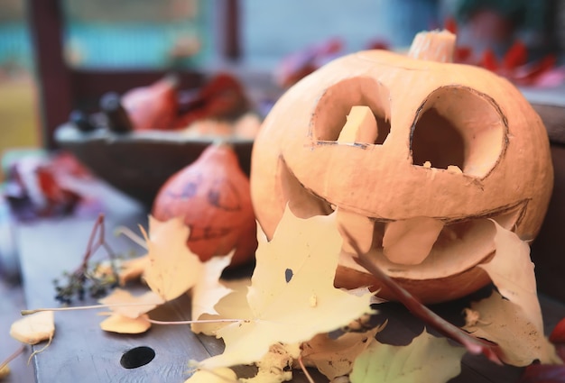 Autumn traditions and preparations for the holiday Halloween A house in nature a lamp made of pumpkins is cutting out at the table