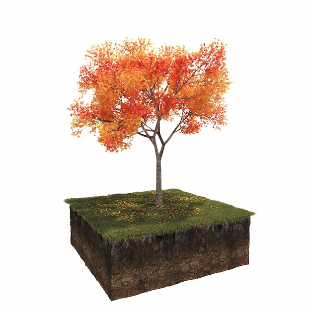 autumn tree isolated on white background, 3D illustration, cg render