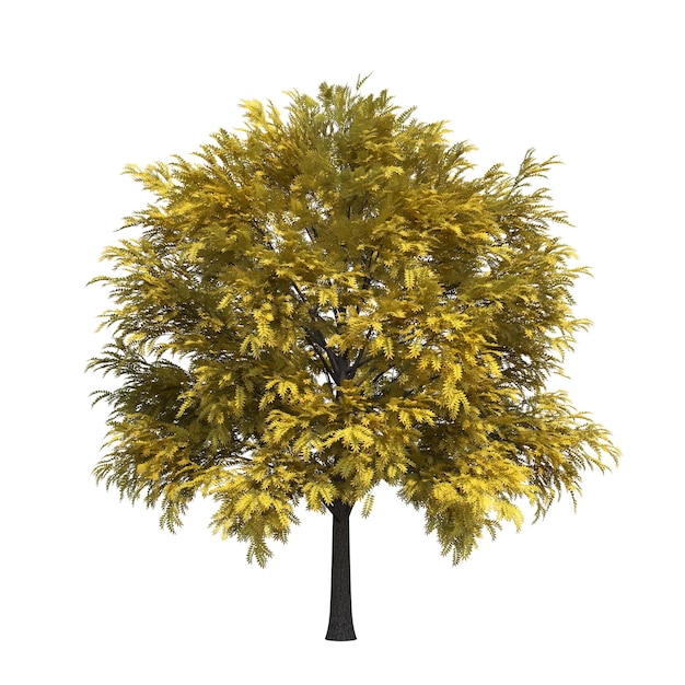 autumn tree isolated on white background, 3D illustration, cg render