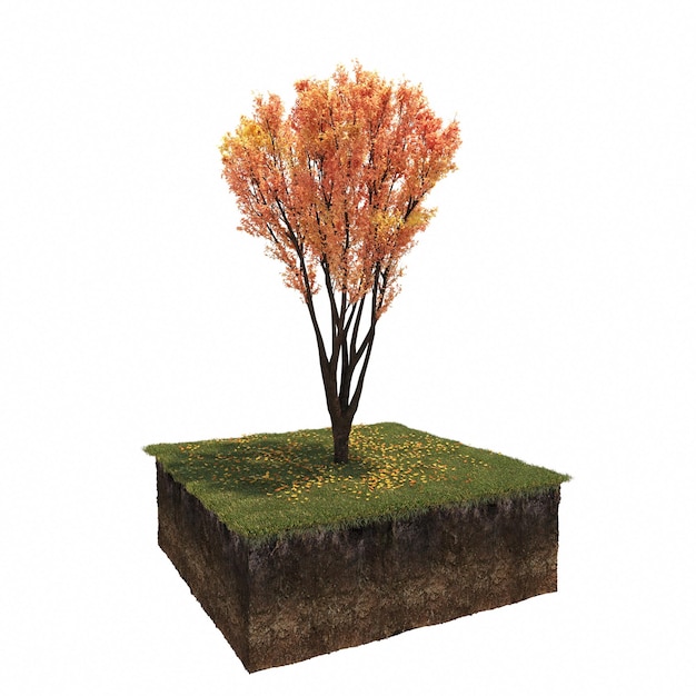 autumn tree isolated on white background, 3D illustration, cg render