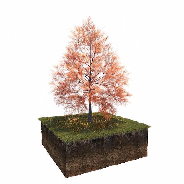 autumn tree isolated on white background, 3D illustration, cg render