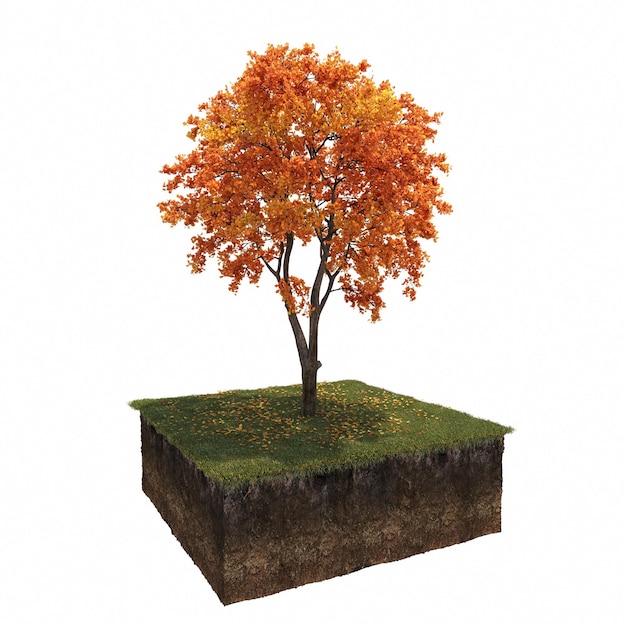 autumn tree isolated on white background, 3D illustration, cg render