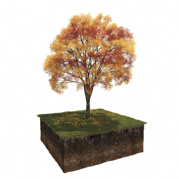 autumn tree isolated on white background, 3D illustration, cg render