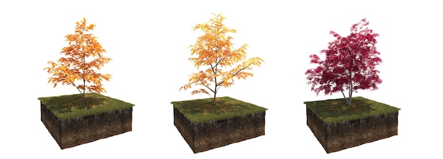 autumn tree isolated on white background, 3D illustration, cg render