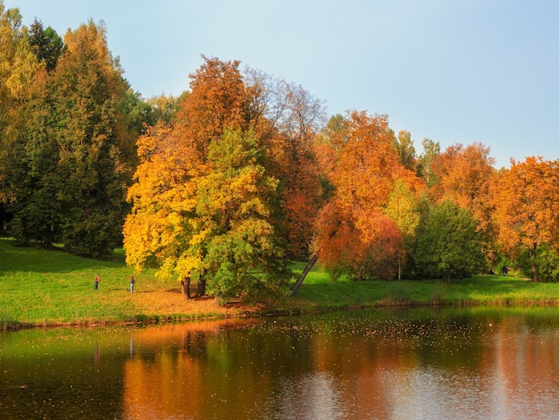 Autumn trees on the bank of the pond. Bright autumn landscape with red trees. Pavlovsk. Russia.