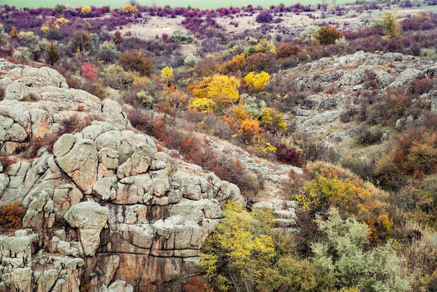 Autumn trees and large stone boulders around