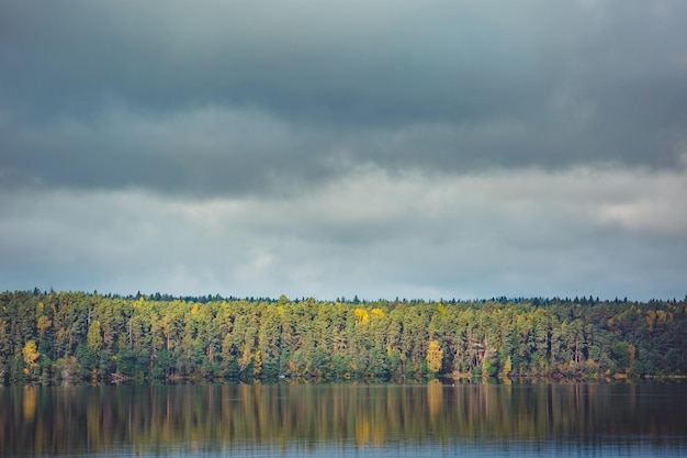 Autumn trees with reflection