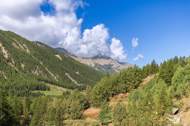 Autumn trekking in Bardoney valley amid green forests and meadows under fluffy clouds Aosta Italy