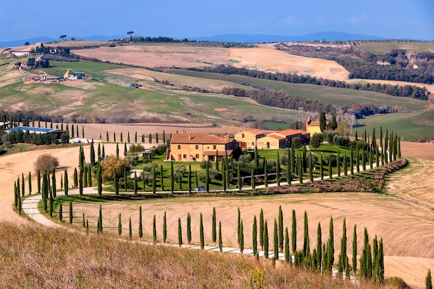 Autumn valley,  farm house and alley of cypress trees. Golden autumn. Val d`Orcia. Siena. Tuscany. Italy. Europe