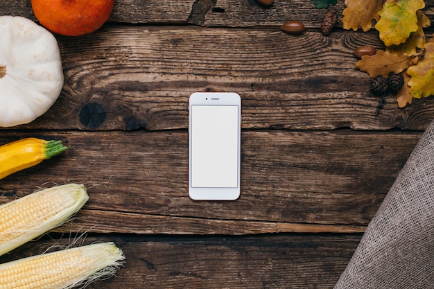 Autumn vegetables: mobile phone with white empty screen, pumpkins and corn with yellow leaves on wood