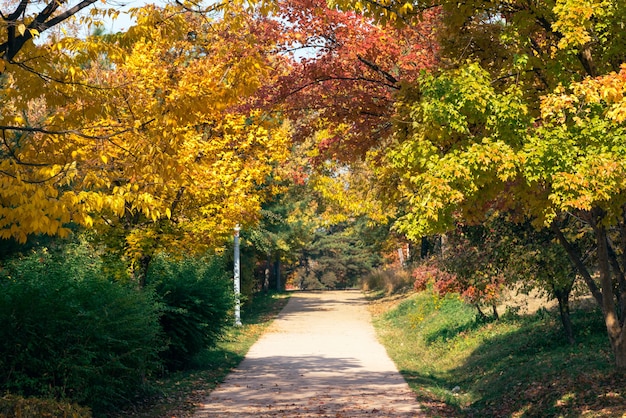 Photo autumn vibes in a public park.