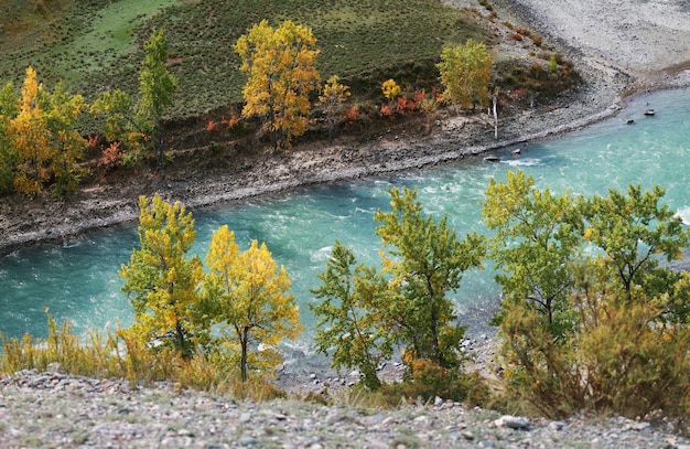 Autumn view Above the mountain river