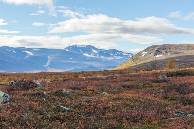 Autumn view of Sarek National Park, Lapland, Norrbotten County