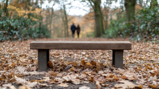 Photo autumn walk in the woods