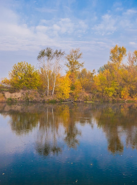 Autumn wood on the river bank