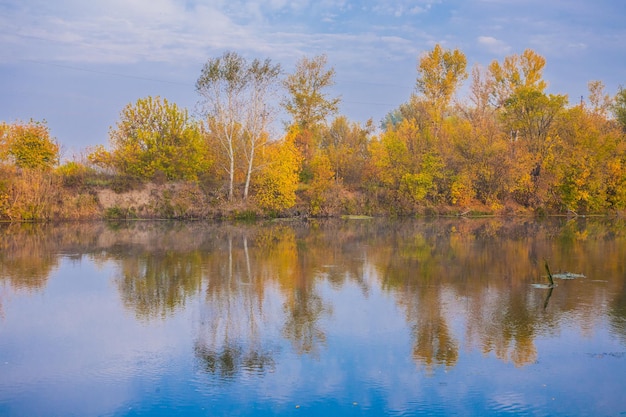 Autumn wood on the river bank