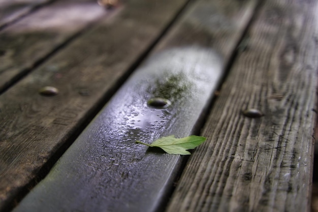 Autumn wooden background with leaves