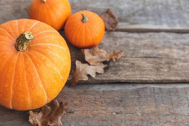 Autumnal Background Natural autumn fall view pumpkins on wooden background Inspirational october or september wallpaper Change of seasons ripe organic food concept Halloween party Thanksgiving day