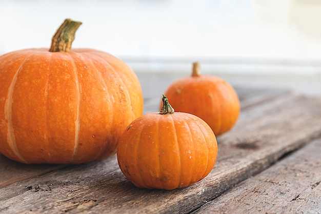 Autumnal Background Natural autumn fall view pumpkins on wooden background Inspirational october or september wallpaper Change of seasons ripe organic food concept Halloween party Thanksgiving day