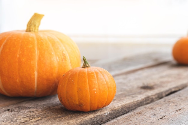 Autumnal background natural autumn fall view pumpkins on wooden background inspirational october or