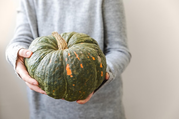 Autumnal background unrecognizable woman hand holding in hands autumn fall pumpkin isolated on white