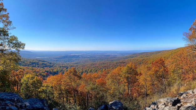 Photo autumnal forest landscape with distant valley