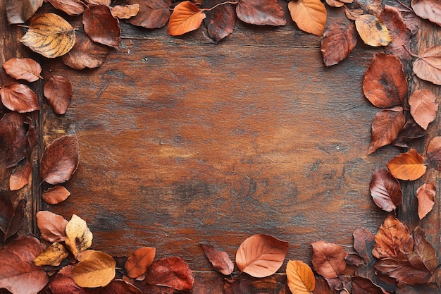 Photo autumnal frame with colorful leaves