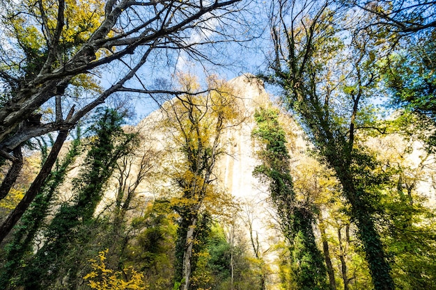 Autumnal landscape of Birtvisi canyon