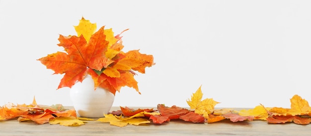 Autumnal leaves in white vase on white background