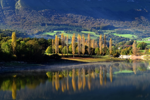 Autumnal poplars in the MaroÃ±o water reservoir. Alava. Basque Country. Spain