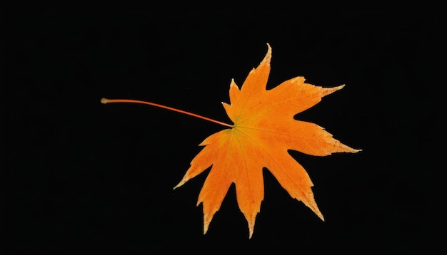 Photo autumns vibrant beauty in a single leaf