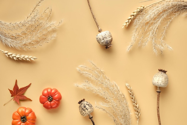 Autumntime background with tiny orange pumpkins dry pampas grass and wheat ears Orange maple leaves Flat lay top view on orange paper Monochromatic Fall simple minimal backdrop