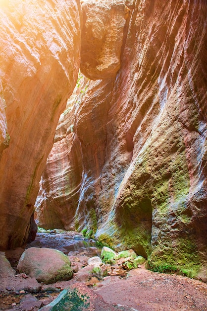 The Avakas canyon