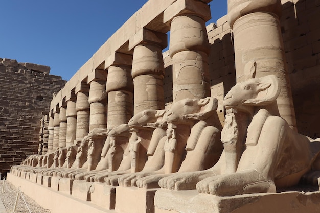 Avenue of the Sphinxes at Karnak temple in Luxor, Egypt