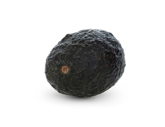 Avocado fruit on white