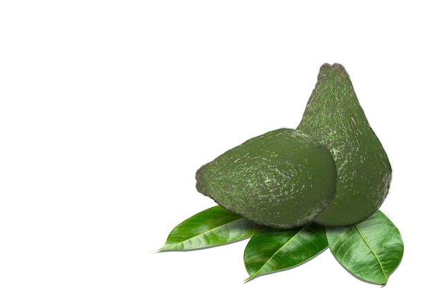 Avocado isolated on white background