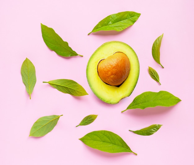 Avocado with leaves on pink background