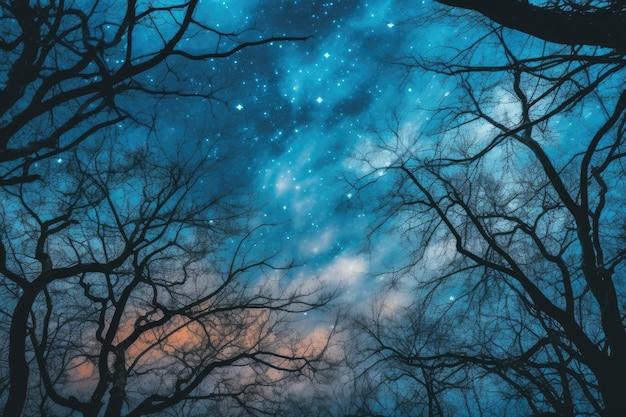 Awesome Night Sky Background And Wallpaper For Social Media Post And Writing Quotations Facts And Articles Moon With Dry Branches Of Tree With Blue Black Night Sky Gradient And Stars