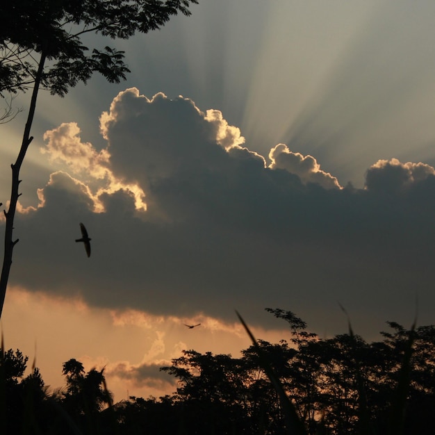 Awesome Rays of sunrise light